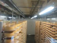 Appenzeller Schaukäserei - Blick in den Käsekeller