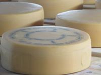 Appemzeller Schaukäserei - Blick in den Käsekeller