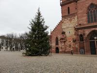 Basel, Stadtführung, Münster