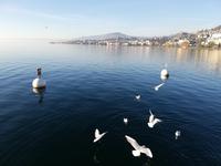 Fahrt von Basel nach Brig, Pause in Montreux am Genfersee