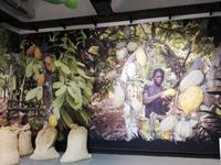 Broc – Besuch Schokoladenfabrik 