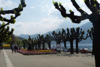 Frühling auf der Promenade