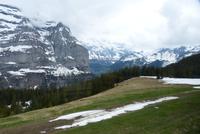 Fahrt mit der Wengenbahn nach Lauterbrunnen