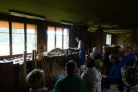 Alle lauschen gespannt