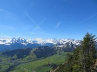 Auf dem Stanserhorn