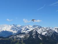 Auf dem Stanserhorn - Drachenflieger
