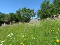 Schweizerisches Freilichtmuseum Ballenberg