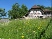 Schweizerisches Freilichtmuseum Ballenberg