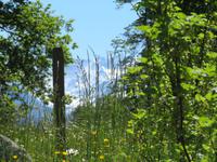 Schweizerisches Freilichtmuseum Ballenberg