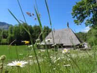 Schweizerisches Freilichtmuseum Ballenberg