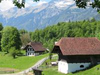 Schweizerisches Freilichtmuseum Ballenberg