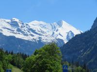 Blick zur Blümlisalp