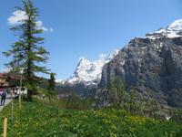 Mürren - Blick ins Lauterbrunnental