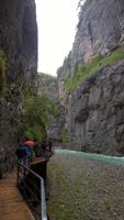Zu Besuch in der Aareschlucht