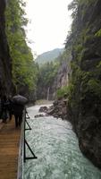 Zu Besuch in der Aareschlucht