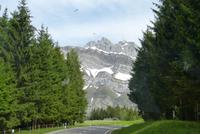 Der Säntis im Blick