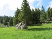 Schwägalp -Wanderung