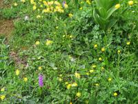 Schwägalp -Wanderung