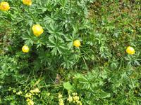 Schwägalp -Wanderung