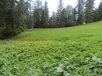 Schwägalp -Wanderung