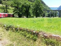 Fahrt mit dem Bernina-Expess-Kreisviadukt