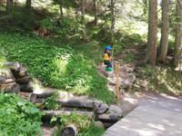 Davos, Schatzalp, Thomas Mann Wanderweg