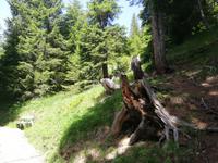 Davos, Schatzalp, Thomas Mann Wanderweg