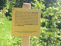 Davos, Schatzalp, Thomas Mann Wanderweg