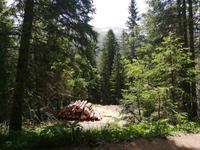 Davos, Schatzalp, Thomas Mann Wanderweg