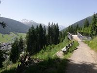 Davos, Schatzalp, Thomas Mann Wanderweg