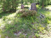 Zermatt, Fahrt mit der Gornergratbahn