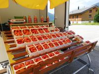 Fahrt zum Grimselpass