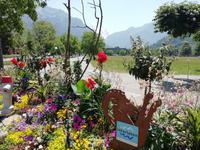 An der Höhematte in Interlaken