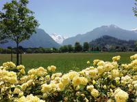 An der Höhematte in Interlaken