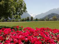 An der Höhematte in Interlaken