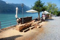 Bildhauerwettbewerb in Brienz