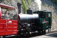 Ein besonderes Exemplar