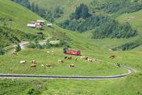 Die Fahrt zum Rothorn