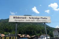 Heute geht es auf die Schynige Platte