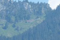 Blick von Interlaken 