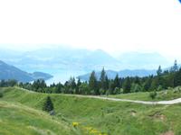 Blick zum Vierwaldstätter See