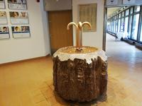 St. Moritz Stadtführung in St. Moritz See und - Dorf