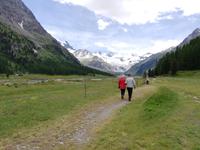 Mit Pferdekutschen ins Val Roseg