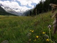 Mit Pferdekutschen ins Val Roseg