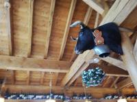 Zermatt, Folkloreabend auf Sunnega