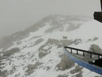 Auf dem Weißfluhgipfel