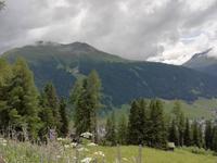 Blick zum Jakobshorn