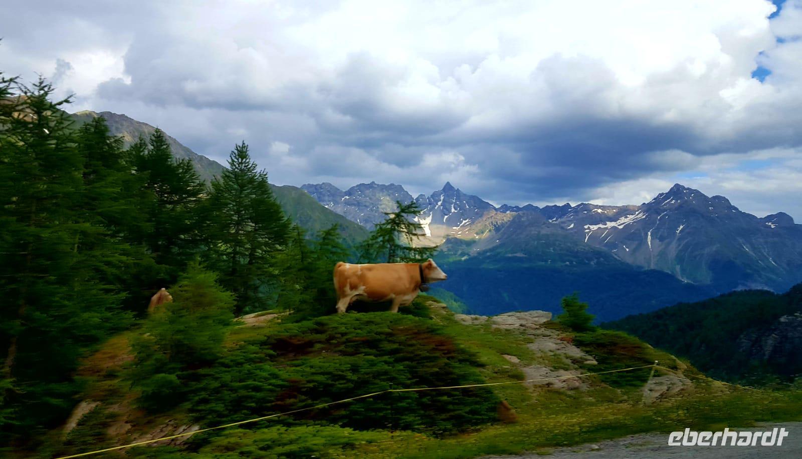 Fahrt auf den Berninapass