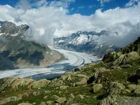 Aletschgletscher 