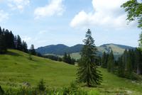 Rundgang auf der Schwägalp